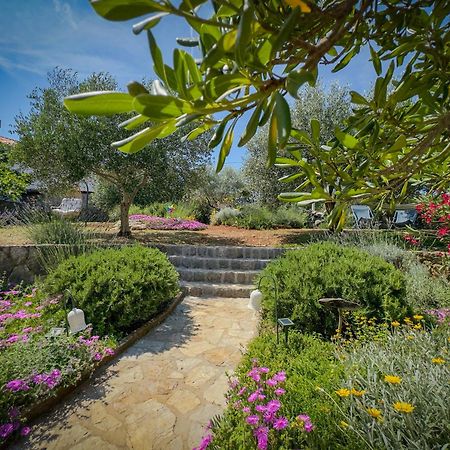 Holiday Home Lavanda Kornić Dış mekan fotoğraf