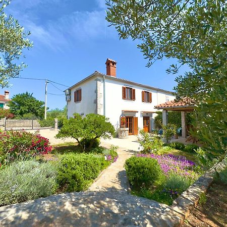 Holiday Home Lavanda Kornić Dış mekan fotoğraf