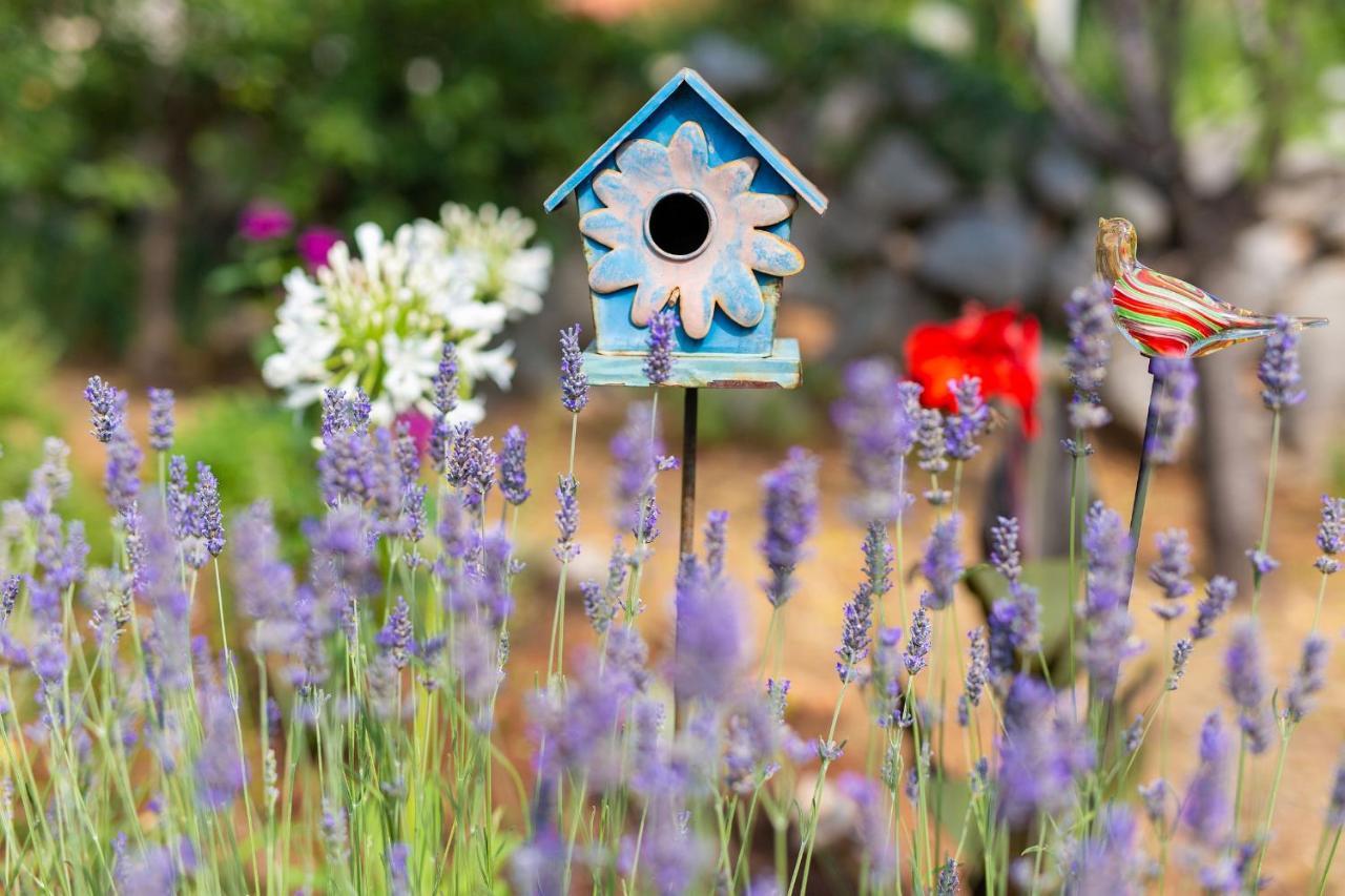 Holiday Home Lavanda Kornić Dış mekan fotoğraf