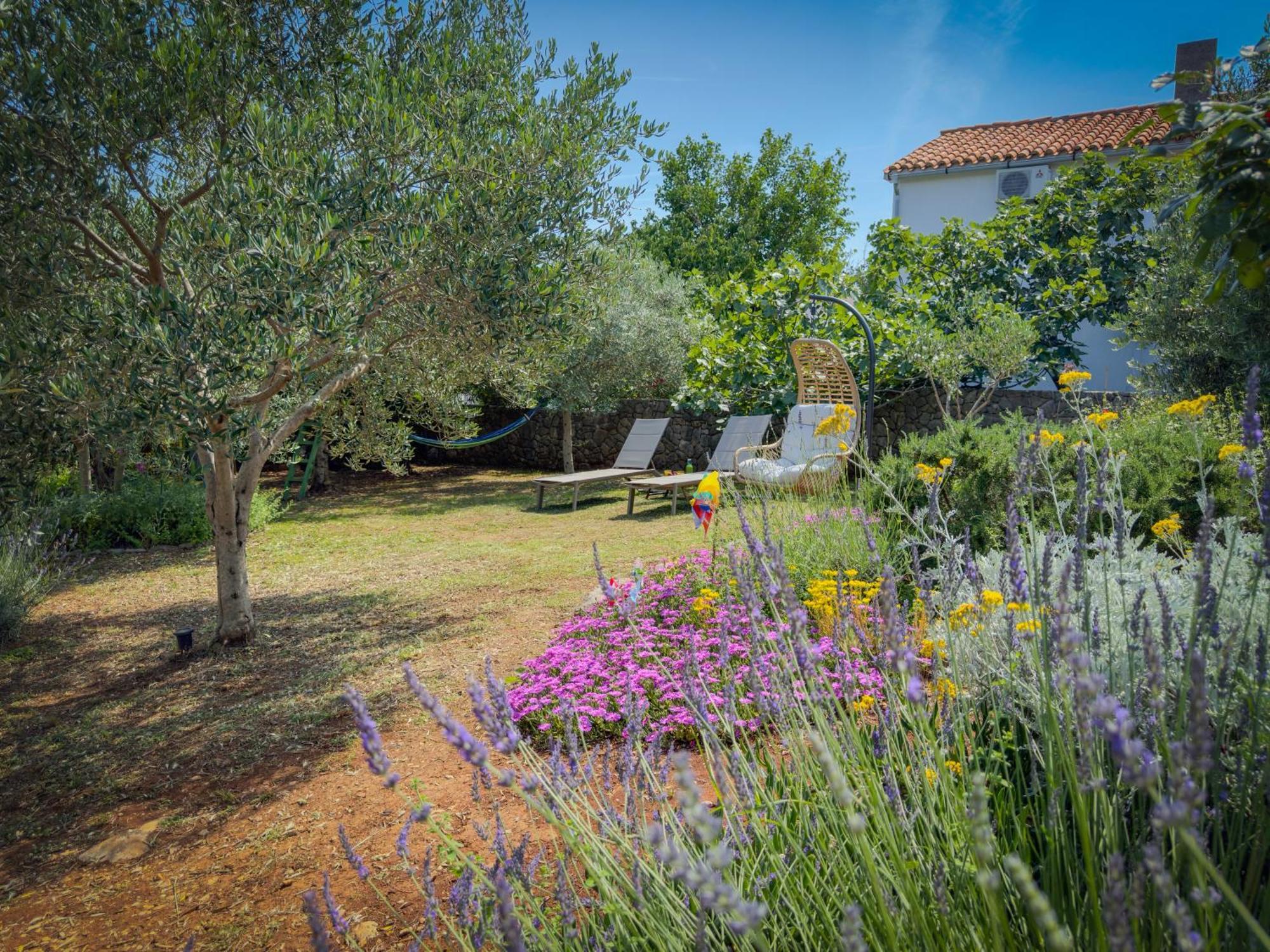 Holiday Home Lavanda Kornić Dış mekan fotoğraf