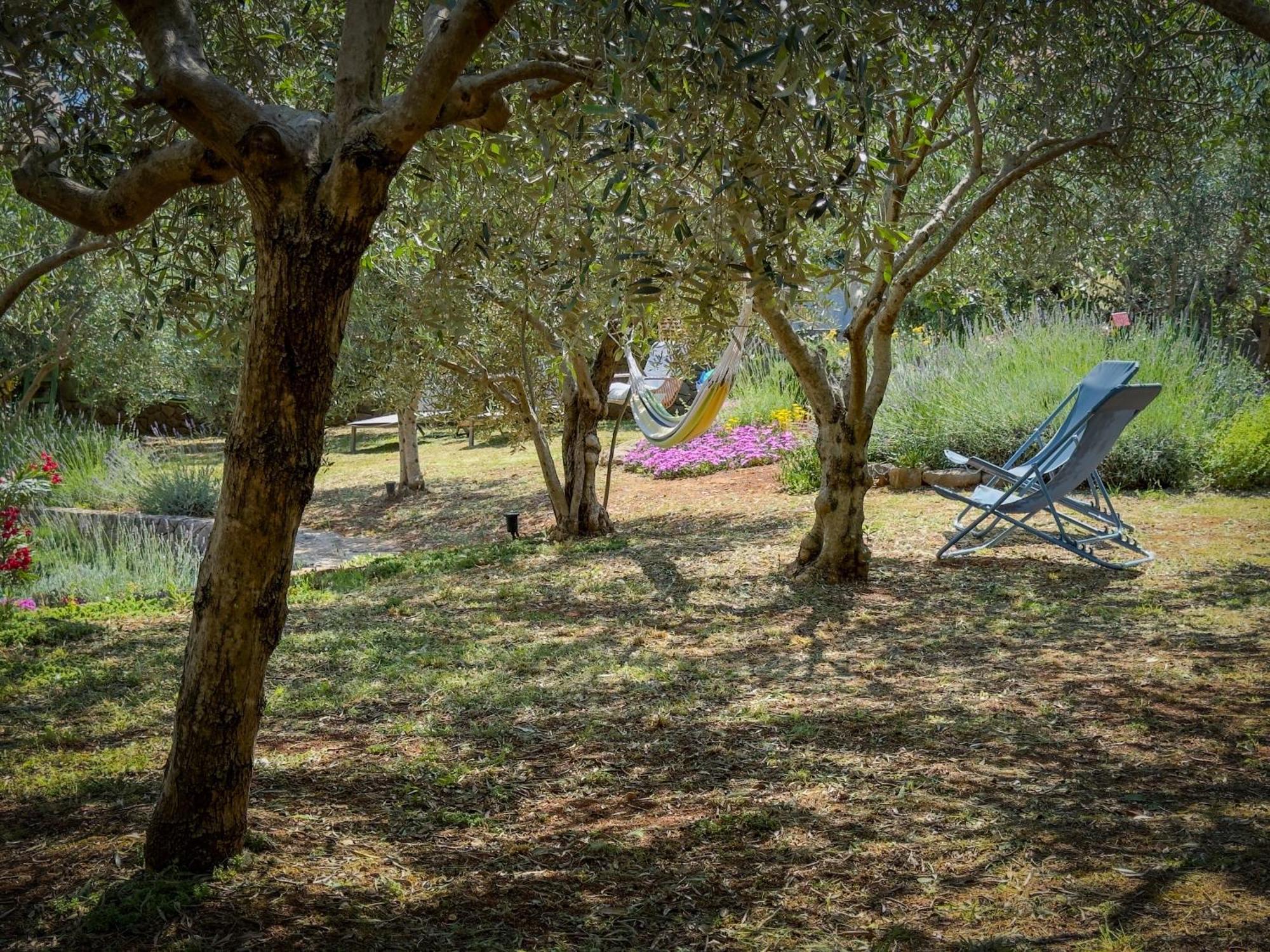 Holiday Home Lavanda Kornić Dış mekan fotoğraf